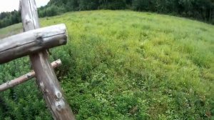 Охота на медведя на овсах