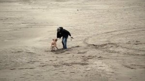 Нигатив - Дождь