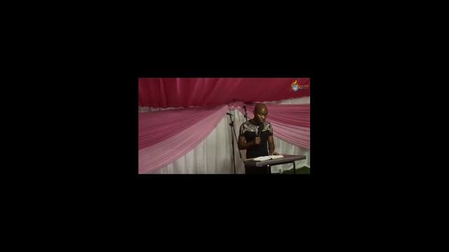 Лучшие приколы Я ржал до слез 😂 смотреть онлайн