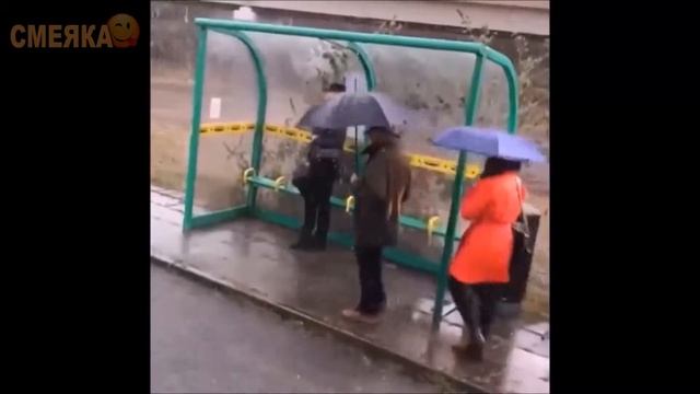 Приколы:Смеяка