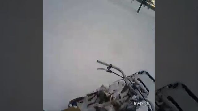 Пахус МД смотреть онлайн
