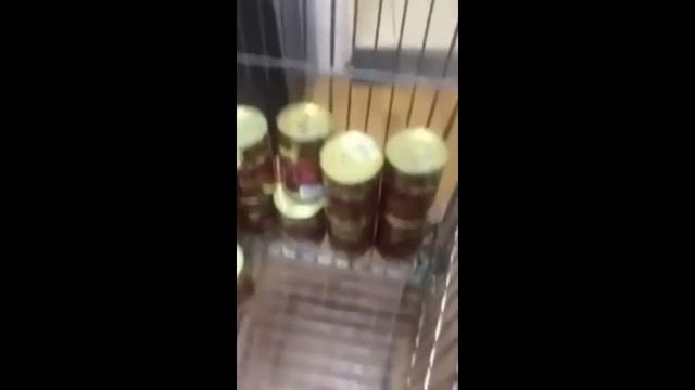 ФАСОЛЬ ДЛЯ ПОХУДЕНИЯ / ЛУЧШИЕ МЕГА ПРИКОЛЫ 2019 | МЕГА ПРИКОЛЫ 120 lvl / приколЫ 2019 за апрель смотреть онлайн