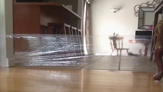 шутки над котом смотреть онлайн