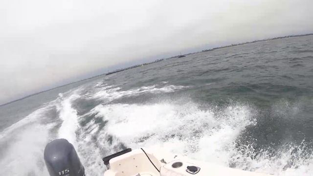 Bayliner Trophy 17 Yamaha 115 HP Safe Mode смотреть онлайн