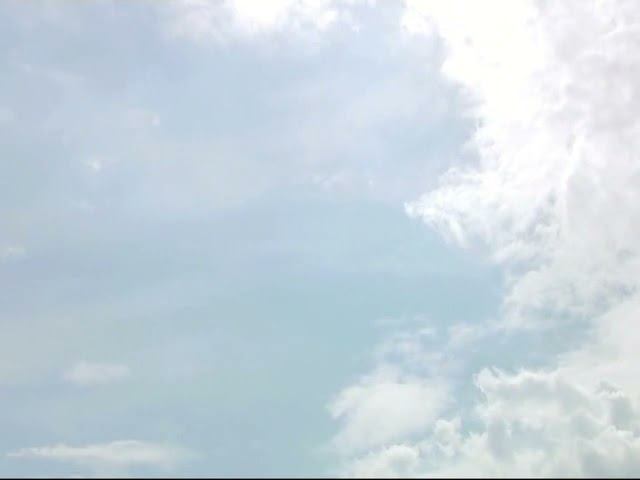 Андрей Вознесенский - Не исчезай. Читает Владислав Витковский смотреть онлайн