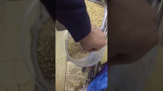 Узв.Раки.Вот чем мы кормим наших раков. смотреть онлайн