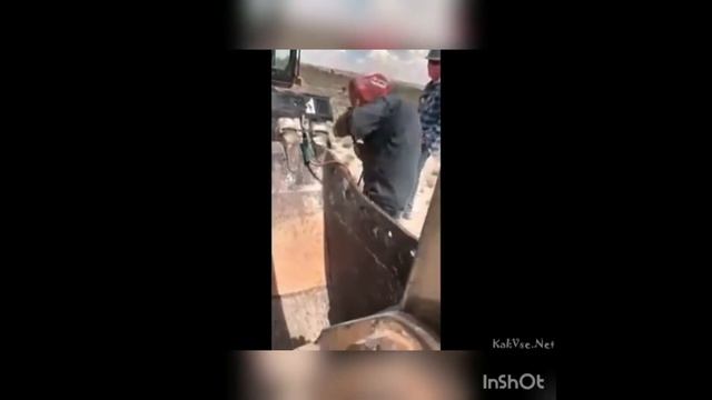 Прикол, Бузова