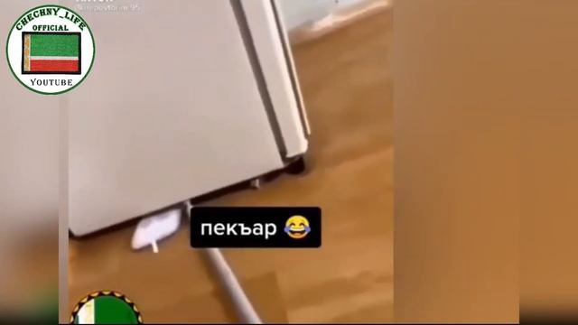 1удди Дубай воьдш ву ЧЕЧЕНСКИЕ НОВЫЕ ПРИКОЛЫ ПОДБОРКИ 2021 смотреть онлайн