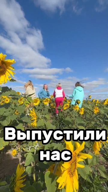 Один выходной день 🔥🤦♀️ #юмор #прикол #скетч #девочки #макарена #поле #подсолнухи смотреть онлайн