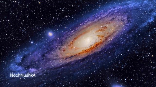 ЗАГАДКА ЗАПИСКИ найденной 14 февраля. 6-ти минутная история, которая вызовет улыбку у романтиков. смотреть онлайн