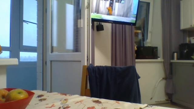 Гриззи и лемминги - Мышеловка смотреть онлайн