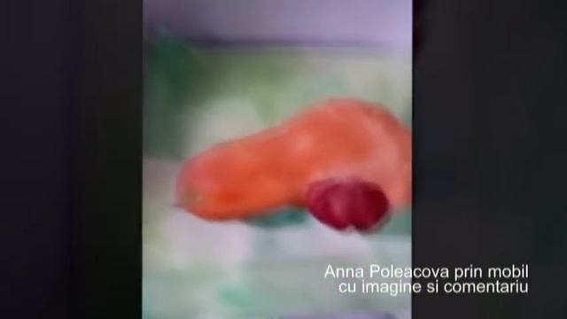Анна Полякова мобильным снимает и комментирует смотреть онлайн