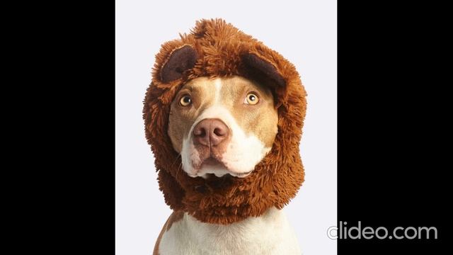 Rep Super BASS 2021 Music Музыка Рэп Басс