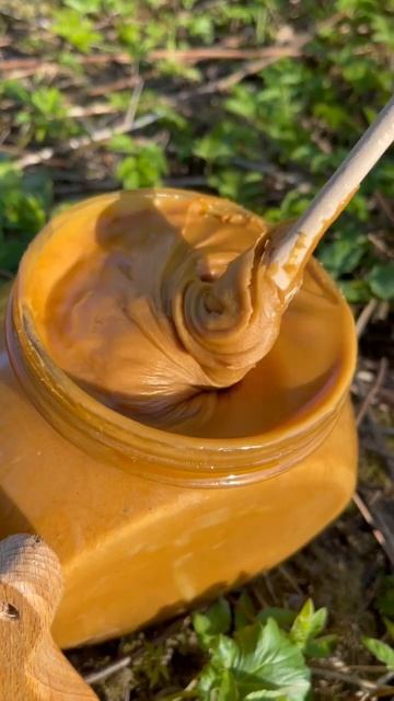 Лечебный мёд технология пчеловода смотреть онлайн