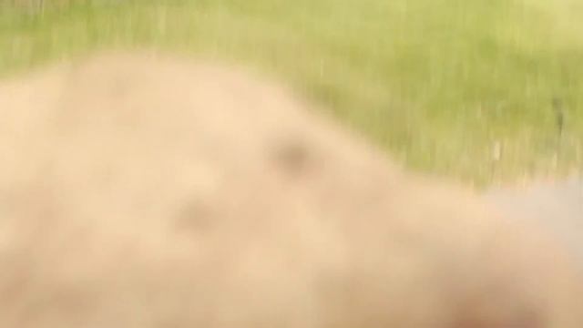 Помогут ли Мужчины девушке - догнать воров ? (Социальный эксперимент) смотреть онлайн