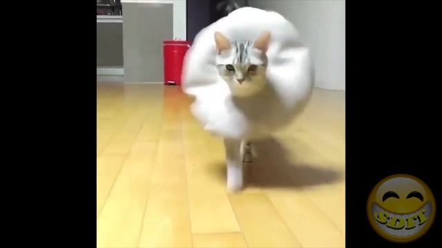 ОГОНЬ ПРИКОЛЫ 2018. НОВЫЕ. СМЕШНЫЕ. ПРИКОЛЫ. ПОЗИТИВ. ОТЛИЧНОЕ НАСТРОЕНИЕ. смотреть онлайн