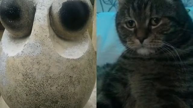 не грусти котейка смотреть онлайн