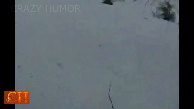 ЛУЧШИЕ ПРИКОЛЫ CRAZY HUMOR (Выпуск 17)/Funny Videos