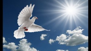 МОЕ ТЕЛО ДОМ МОЕЙ ДУШИ И ХРАМ ЦЕЛИТЕЛЬНОЙ СИЛЫ.