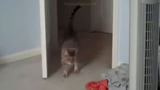 улетные приколы 2014! 3 серия! / Soul Plane fun in 2014 ! 3 series! смотреть онлайн