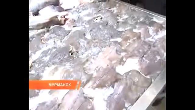 Жириновский в магазине смотреть онлайн