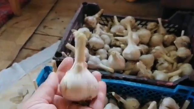 Ох суббота не для работы