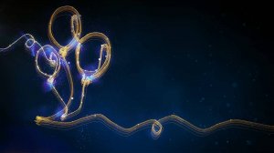 Футаж Светящиеся линии (Шары, Подарок, Торт)