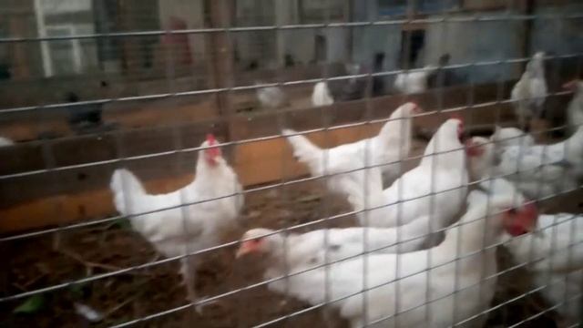 С добрым утром! Петьке три месяца. смотреть онлайн