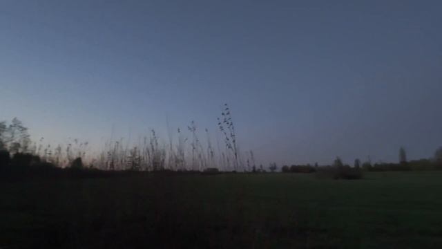 Весенняя результативная охота на вальдшнепа. День третий.