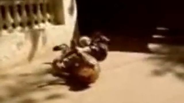Файтинг старушек Ремейк (смотреть до конца =))) смотреть онлайн