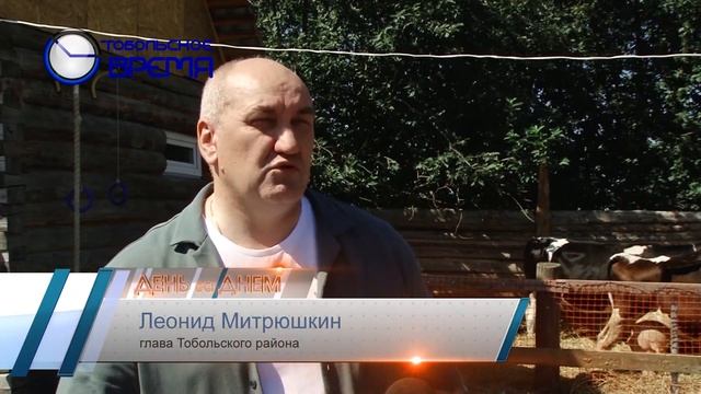 ПОРОСЯТА В БУЛАШОВО смотреть онлайн