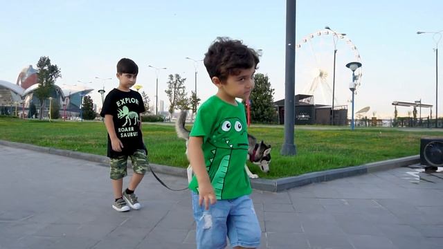 Прогулка с собачкой породы ХАСКИ/HUSKY.Дети гуляют с собакой #хаски #husky DOGVLOG With Husky