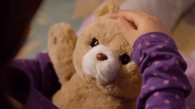 Little Live Pets Cozy Dozy Kip The Koala Bear - Over 25 Sounds and Reactions смотреть онлайн