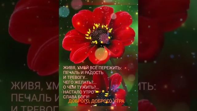 С добрым утром. смотреть онлайн