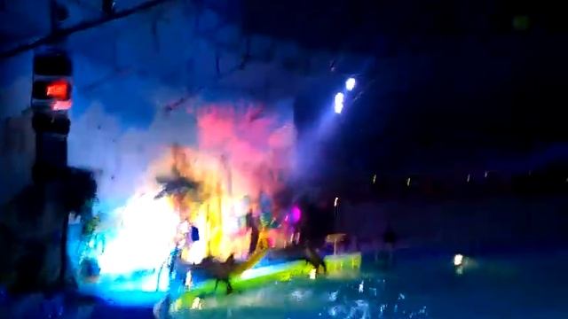 Романтическое ночноу шоу