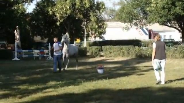 Морис Бежар 2011(Марчелло- Бородина)