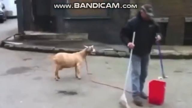 ТОП ПОПУЛЯРНЫЕ ПРИКОЛЫ 2018 САМЫЕ ЛУЧШИЕ GJHYJ CNHBGNBP смотреть онлайн