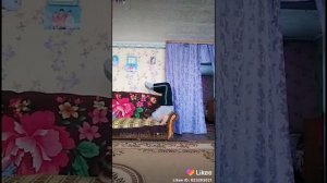 Малолетки в лайке #1
