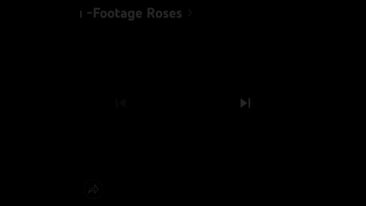 Владислав Витковский. 8 марта смотреть онлайн