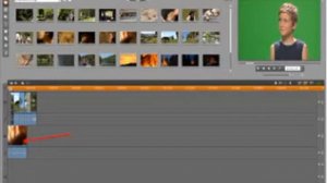 Работа с хромакеем в Pinnacle Studio 14