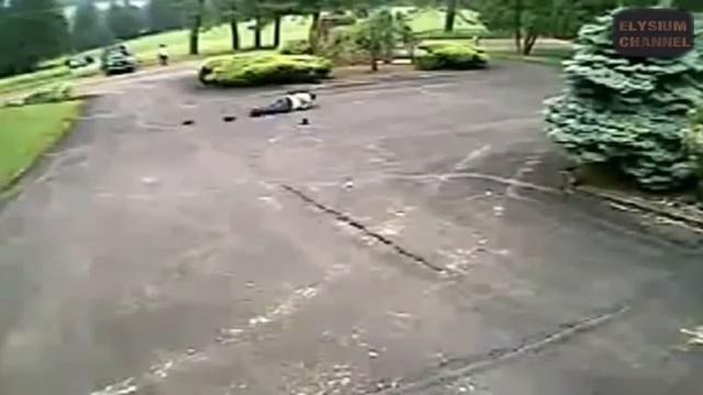 Лучшие видео приколы 2015 #6 смотреть онлайн