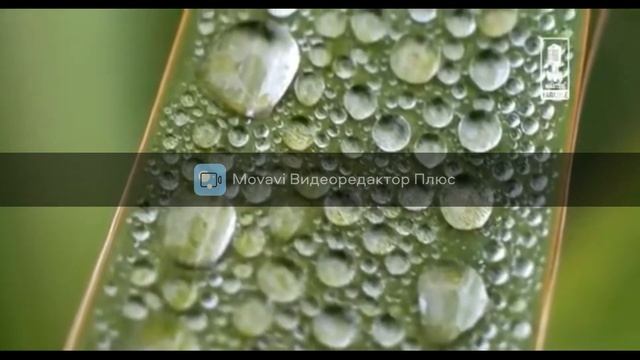 Дуэт принцессы и трубадура - Детские песни караоке смотреть онлайн