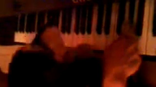 Собака играет на пианино (Голубой вагон) прикол смотреть онлайн