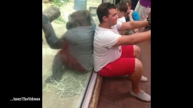 #SELFIE  Смешные СЕЛФИ  Приколы 2014 Сентябрь  Funny SELFIES