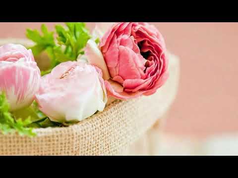 Лидолия Никитина - Разрешите подарить цветы. Разрешите подарить цветы. Читает Владислав Витковский смотреть онлайн