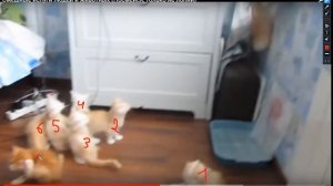 Смешные испуги людей ( реакция ) #1