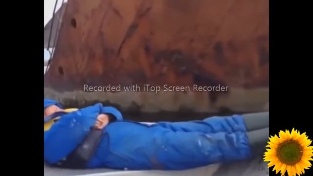 Смешные видео приколы , Чудики из соцсетей смотреть онлайн