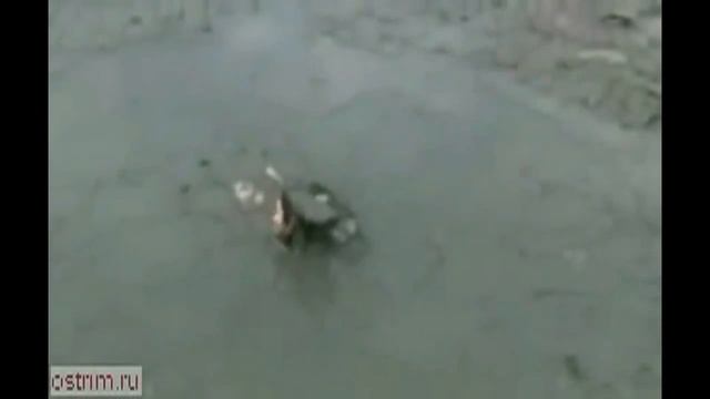 Прикол - Терминатор 2 - Ты щас умрёшь! смотреть онлайн