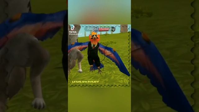 Wild Kraft/подборка видио из тик тока 2часть. смотреть онлайн