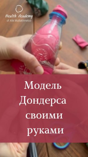 Модель Дондерса своими руками